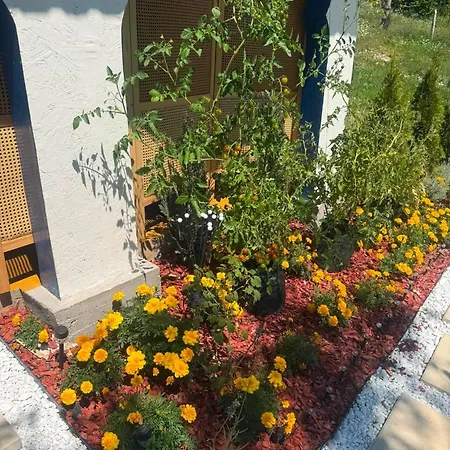 Esmina Velika Kuca *
